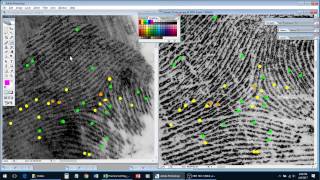 How to Compare Fingerprints  Examples 13 [upl. by Pollyanna]