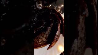 Thonnal  തോന്നൽ Cake  Chocolate Swirl Cake [upl. by Tennek]