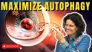 AUTOPHAGY  5 Keys to Maximize Autophagy Benefits [upl. by Erland946]