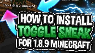 How to Get Toggle SneakSprint for Minecraft 189 [upl. by Rye]