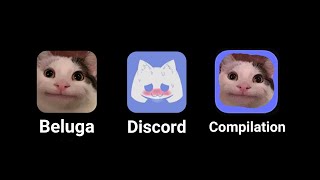 Beluga Discord Compilation [upl. by Ysirhc832]