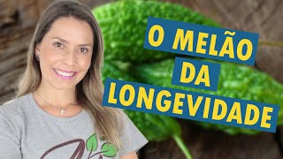 MELÃODESÃOCAETANO  Benefícios e dicas de cultivo [upl. by Halimak244]