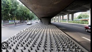 MAN SHAMES HOSTILE ARCHITECTURE [upl. by Yeffej]