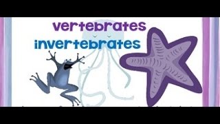 Vertebrates and Invertebrates animals  Video for kids [upl. by Joscelin]