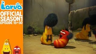 Official LARVA Season 1 Episode 16  30 [upl. by Shue]