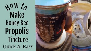 How to Make a Bee Propolis Tincture Quick and Easy [upl. by Orian]