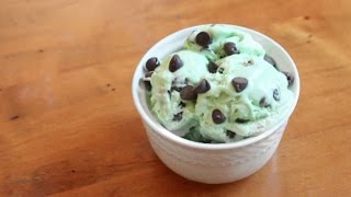 Mint Chocolate Chip Ice Cream  5 ingredients [upl. by Amlev42]