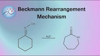 Beckmann Rearrangement Example Mechanism  Organic Chemistry [upl. by Job519]