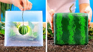 21 AMAZING PLANTS IDEAS  DIY Gardening Tricks You Should Know [upl. by Ednutabab]