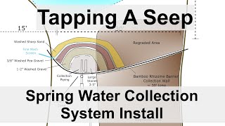 Tapping A Seep  Spring Water Collection System Install [upl. by Hwu732]