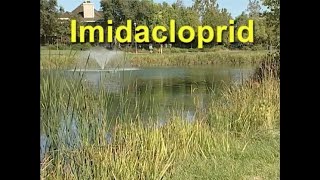 Imidacloprid [upl. by Meyers]