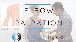 Elbow Palpation  Clinical Physio Premium [upl. by Karlyn]