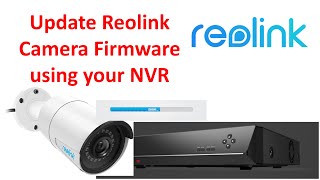 Upgrade Reolink Camera Firmware via NVR [upl. by Redwine]