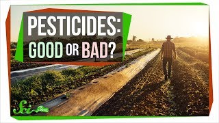 How Safe Are Pesticides Really [upl. by Lsil]