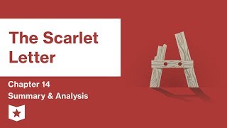 The Scarlet Letter  Chapter 14 Summary and Analysis  Nathaniel Hawthorne [upl. by Htezil]