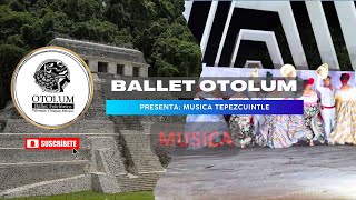 MÚSICA quotEL TEPEZCUINTLEquot [upl. by Hirsh]