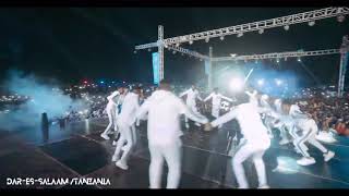 Diamond Platnumz  Perfoming live at Wasafi festival 2019 DAR  BABALAO [upl. by Atekihc541]