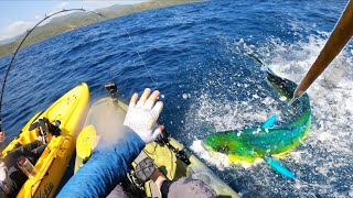 Offshore Kayak Fishing for GIANT MAHI CATCH CLEAN COOK  Panama  Field Trips with Robert Field [upl. by Arytahs]