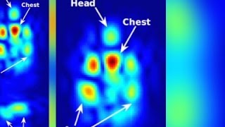 Researchers Use WiFi To See Through Walls [upl. by Sirromed]