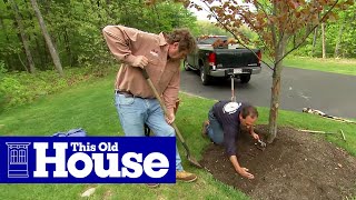 How to Properly Mulch Around a Tree  This Old House [upl. by Meredith]