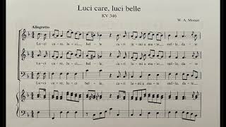 Luci Care Luci Belle WA Mozart [upl. by Angelis]