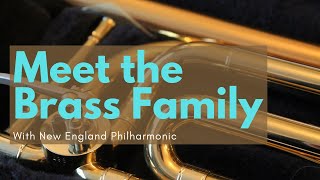 Brass Instruments for Kids with New England Philharmonic [upl. by Aitital922]