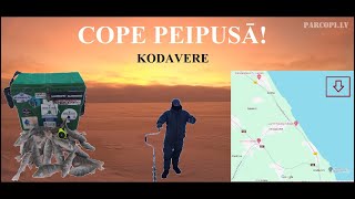 Cope Peipusā Kodavere [upl. by Pierro541]