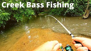 Bass Fishing in SMALL Creeks How to and My Helpful Tips [upl. by Atiuqcaj]