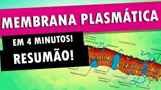 MEMBRANA PLASMÁTICA EM 4 MINUTOS [upl. by Rape]