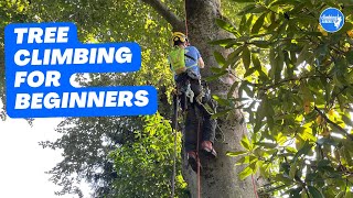 Basic climbing techniques Basic tree ascent [upl. by Inaja]