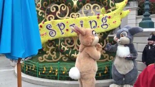 Easter Bunnies Thumper and miss Bunny at Disneyland Paris [upl. by Sikram]