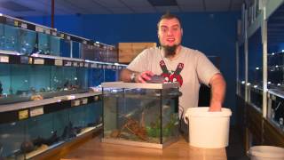 Fishkeeping Tips  How To Perform A Water Change On An Aquarium [upl. by Ecirehs]