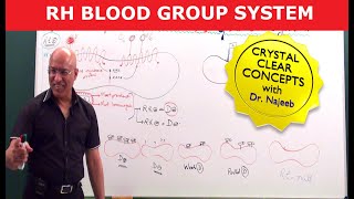 Rh Blood Group System  Dr Najeeb [upl. by Akiraa]