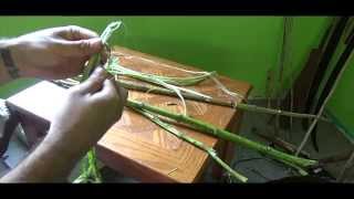 How to make cordage from Milkweed [upl. by Ilyssa298]