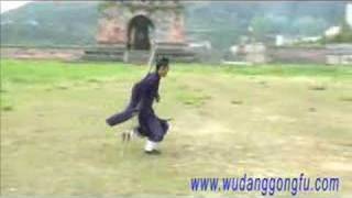 WuDang Kung Fu8 Immortal Staff [upl. by Isaacs]