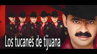 Los Tucanes De Tijuana  Puros Corridos Pesados Mix 2021 [upl. by Nois]