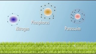 Soil Nutrients  From the Ground Up [upl. by Aniral799]