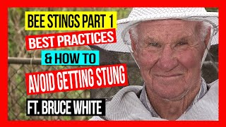 BEE STINGS Part 1 Best Practices to Avoid Getting Stung [upl. by Devland624]