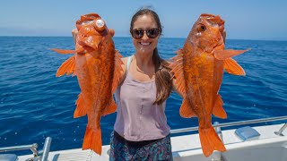 ROCKFISH from the DEEP Fishing in California Catch Clean amp Cook [upl. by Donelu]