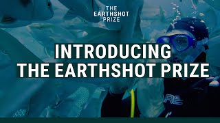 Introducing The Earthshot Prize  EarthshotPrize [upl. by Inhsor]