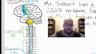 Spinal Cord Injury Physiology  Pathophysiology [upl. by Hurwit]