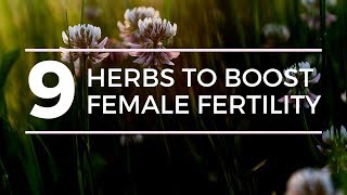 9 HERBS TO BOOST FEMALE FERTILITY [upl. by Haman]