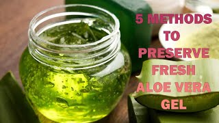 Preserve Aloe Vera Gel At Home [upl. by Demb]