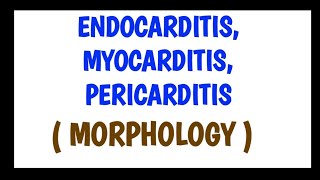 Endocarditis Myocarditis and Pericarditis  Morphology [upl. by Uyekawa]