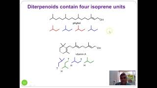 Lecture 1 Terpenes and Terpenoids [upl. by Benildas]