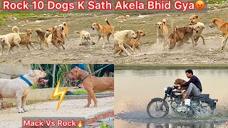 Rock Ko Mack Se Milvane Le Gye🔥Rock 10 Dogs K Sath Akela Bhid Gya😰Panga Hogya Yamuna Nadhi Par🐶 [upl. by Ynitsed961]