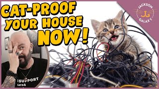 How to CatProof Your Home [upl. by Akenn]