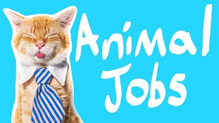 14 Animals With Jobs  Animals who work for a living [upl. by Eramal]