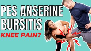 Pes Anserine Bursitis  Causes amp Treatments [upl. by Riatsala]