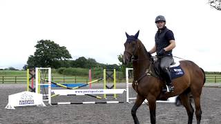 Gymnastic horse jumping exercises with Alex Bragg  Your Horse [upl. by Attennaj]